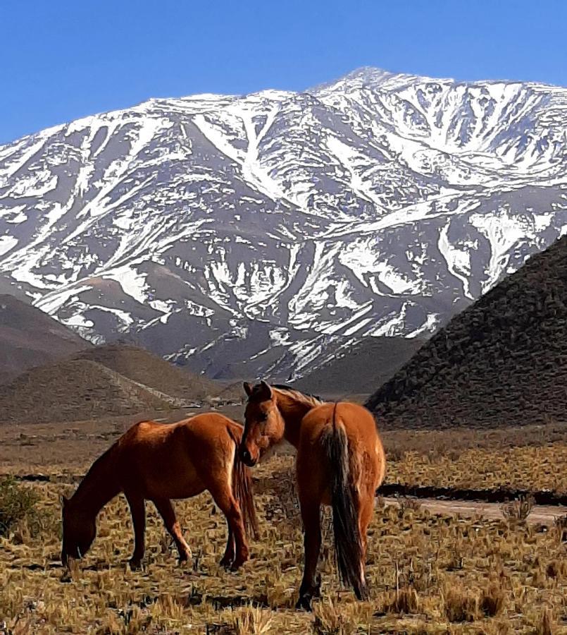 Arribadelvalle - Casas De Altura Potrerillos Zewnętrze zdjęcie
